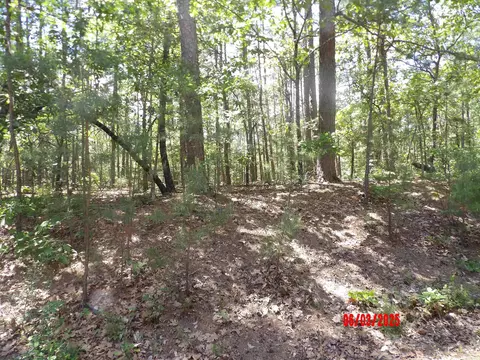 4 Vuelta Ln, Hot Springs Village, AR 71909