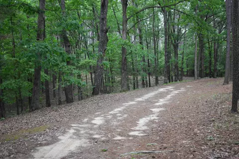255 Mount Carmel Rd, Dierks, AR 71833 photo 17