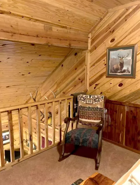 255 Mount Carmel Rd, Dierks, AR 71833 photo 13