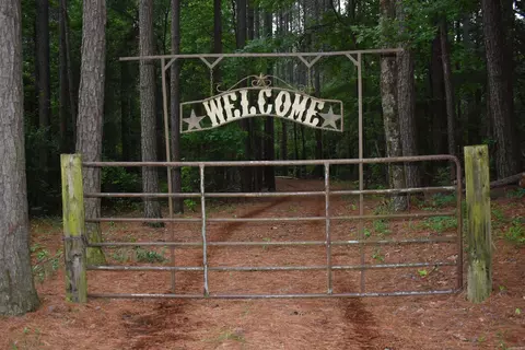 255 Mount Carmel Rd, Dierks, AR 71833 photo 16