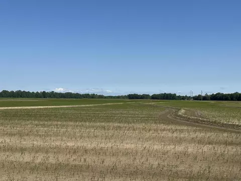 0 Ukena Rd, Weiner, AR 72479 photo 15