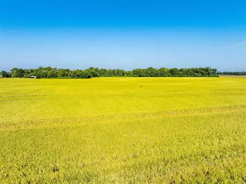 0 Ukena Rd, Weiner, AR 72479 photo 37