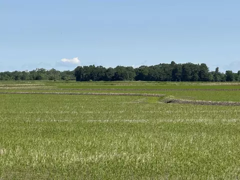 0 Ukena Rd, Weiner, AR 72479 photo 16