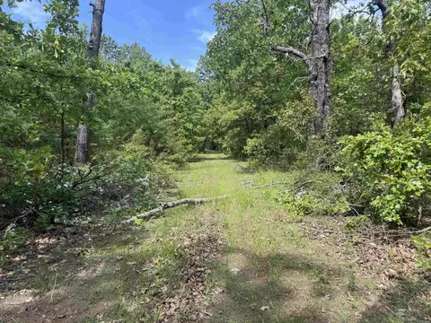 525 Pleasant Run Rd, Mammoth Spring, AR 72554 photo 3