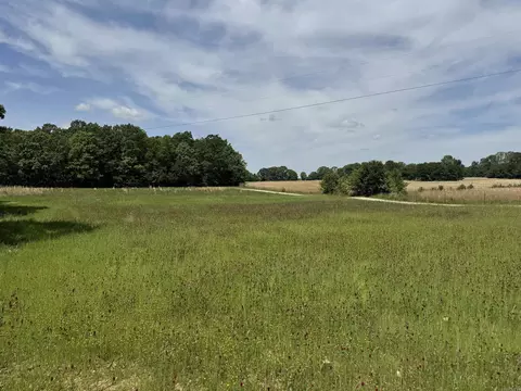 525 Pleasant Run Rd, Mammoth Spring, AR 72554 photo 13