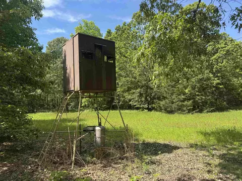 525 Pleasant Run Rd, Mammoth Spring, AR 72554 photo 5
