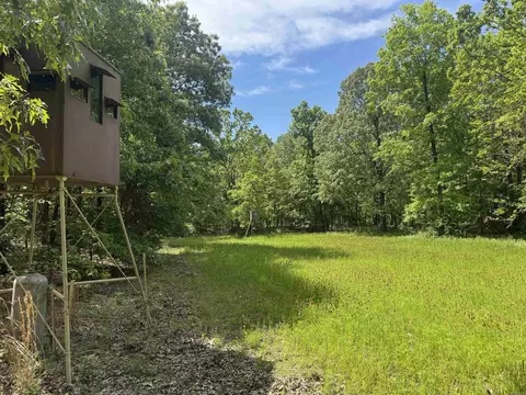 525 Pleasant Run Rd, Mammoth Spring, AR 72554 photo 6
