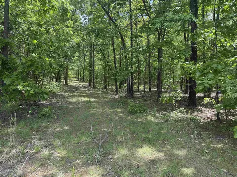 525 Pleasant Run Rd, Mammoth Spring, AR 72554 photo 16