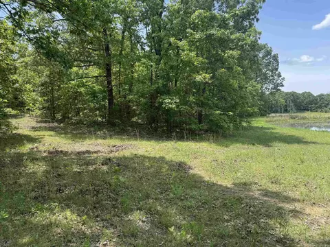 525 Pleasant Run Rd, Mammoth Spring, AR 72554 photo 17