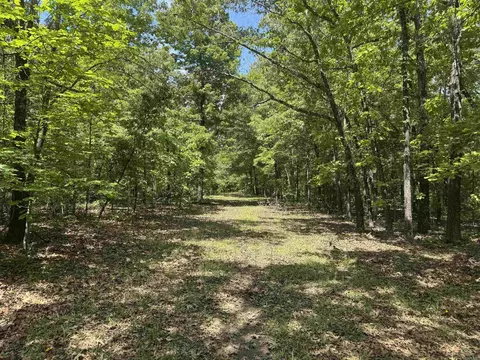 525 Pleasant Run Rd, Mammoth Spring, AR 72554 photo 8