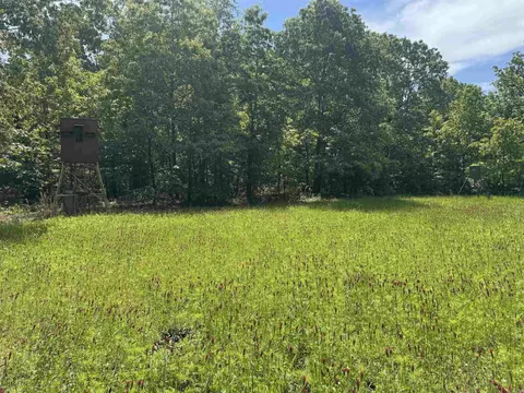 525 Pleasant Run Rd, Mammoth Spring, AR 72554 photo 7