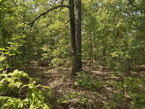 525 Pleasant Run Rd, Mammoth Spring, AR 72554 photo 4