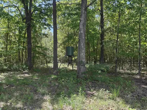 525 Pleasant Run Rd, Mammoth Spring, AR 72554 photo 11