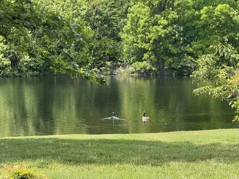 525 Pleasant Run Rd, Mammoth Spring, AR 72554 photo 23