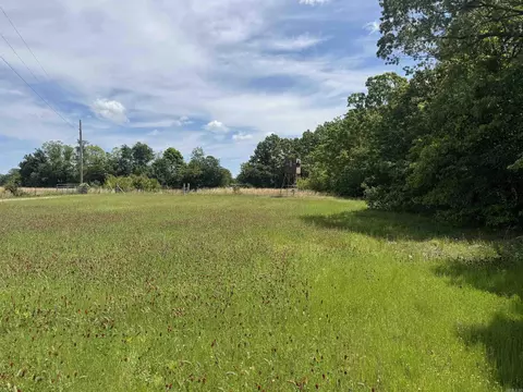525 Pleasant Run Rd, Mammoth Spring, AR 72554 photo 10