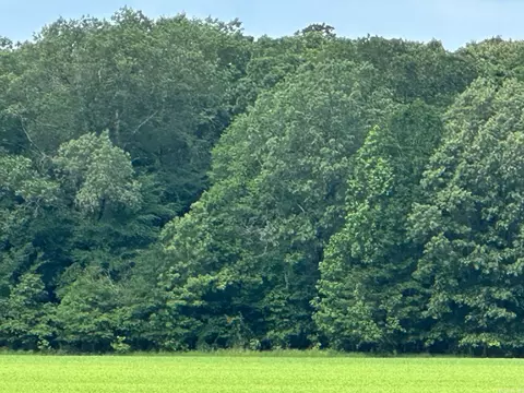 Hwy 189 N, Hamburg, AR 71646