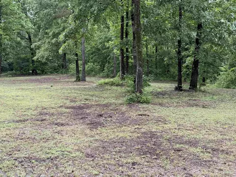 391 Angel, Amity, AR 71921 photo 11