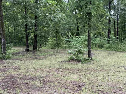391 Angel, Amity, AR 71921 photo 5