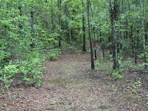 391 Angel, Amity, AR 71921 photo 12
