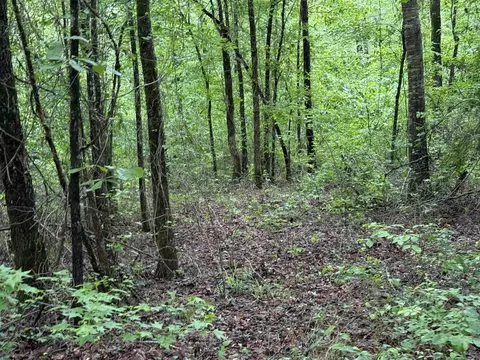 391 Angel, Amity, AR 71921 photo 19