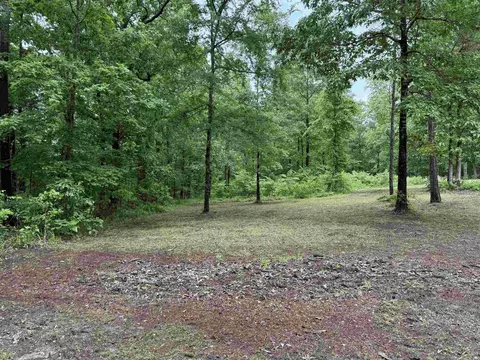 391 Angel, Amity, AR 71921 photo 13
