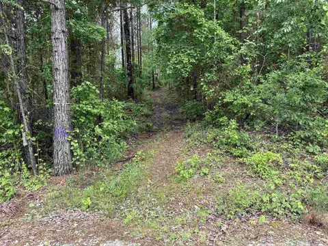 391 Angel, Amity, AR 71921 photo 16