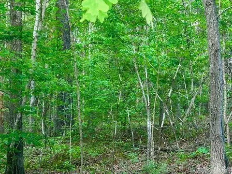 Lick Fork Drive, Mountain View, AR 72560 photo 5