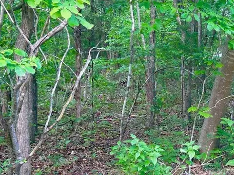 Lick Fork Drive, Mountain View, AR 72560 photo 6