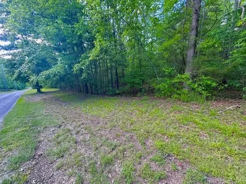 Lick Fork Drive, Mountain View, AR 72560 photo 3