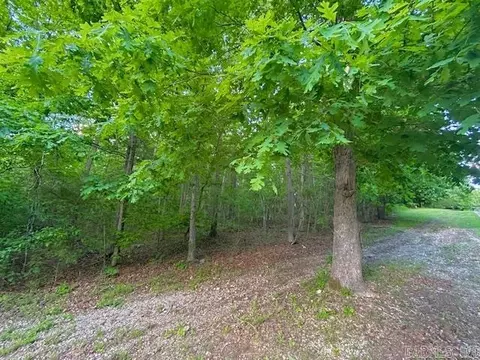 Lick Fork Drive, Mountain View, AR 72560 photo 2