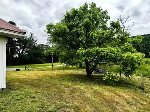 517 Elm St, Mount Ida, AR 71957 photo 19