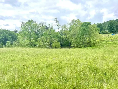 517 Elm St, Mount Ida, AR 71957 photo 22