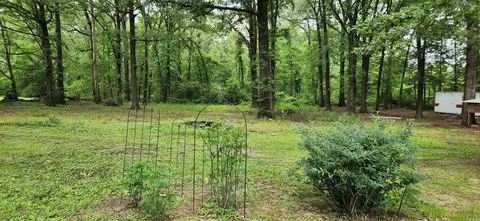 6303 Forrest Oak Dr, Pine Bluff, AR 71603 photo 10