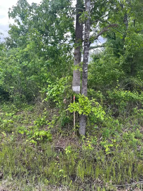 302 Ashley Road, Crossett, AR 71635