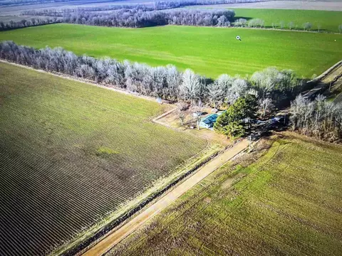 3022 Greene Road 415, Rector, AR 72461 photo 28