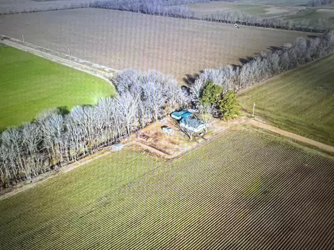 3022 Greene Road 415, Rector, AR 72461 photo 26