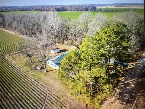 3022 Greene Road 415, Rector, AR 72461 photo 27