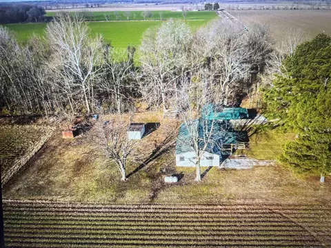 3022 Greene Road 415, Rector, AR 72461 photo 25