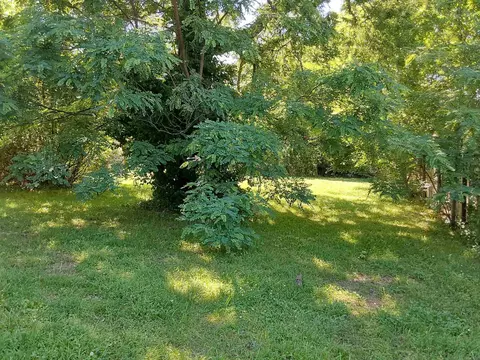 3810 Congo Rd, Benton, AR 72019 photo 13