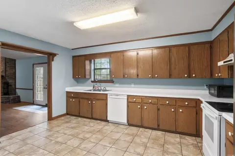 33 Brier Springs Dr, Conway, AR 72034 photo 9