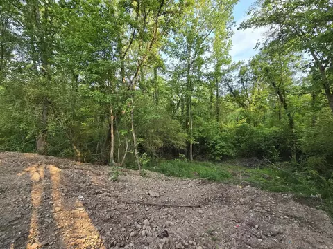 230 Comet Ln, Mountain Pine, AR 71956 photo 10