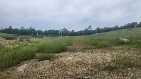 tbd Murphy Rd, Norman, AR 71960 photo 22