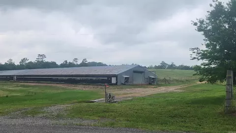 tbd Murphy Rd, Norman, AR 71960 photo 5