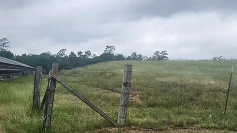 tbd Murphy Rd, Norman, AR 71960 photo 4
