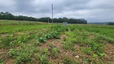 tbd Murphy Rd, Norman, AR 71960 photo 11