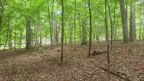 tbd Overcrest Dr, Sims, AR 71969 photo 12
