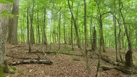 tbd Overcrest Dr, Sims, AR 71969