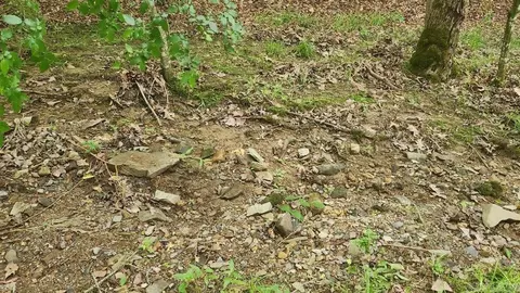 tbd Overcrest Dr, Sims, AR 71969 photo 7