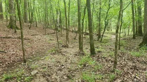 tbd Overcrest Dr, Sims, AR 71969 photo 10