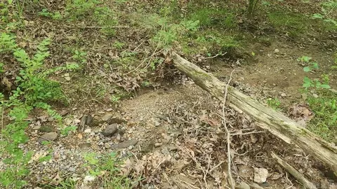 tbd Overcrest Dr, Sims, AR 71969 photo 14